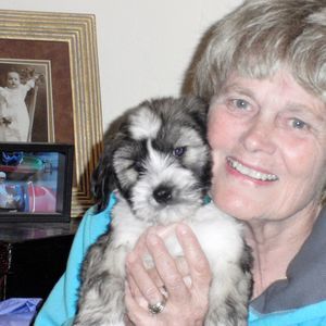 Meet your Posher, Sandy